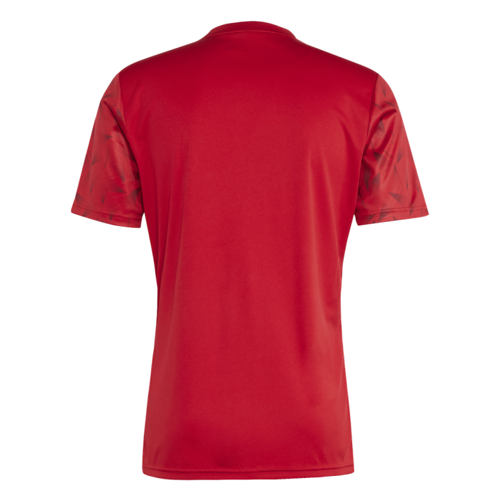 MAILLOT TEAM ICON 25