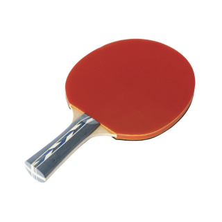 Raquette d'entrainement