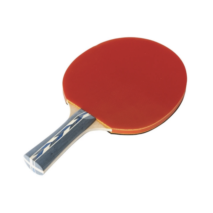 Raquette d'entrainement