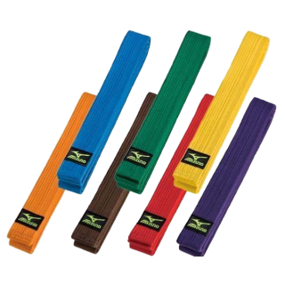 Ceinture de Judo