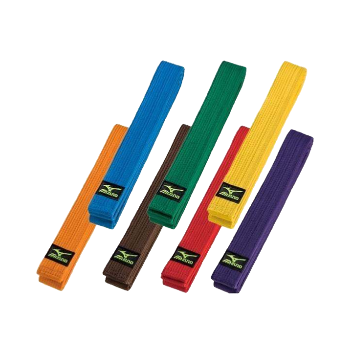 Ceinture de Judo